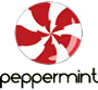 VPN untuk OS Peppermint