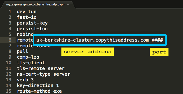 скопировать адрес сервера из файла конфигурации .ovpn