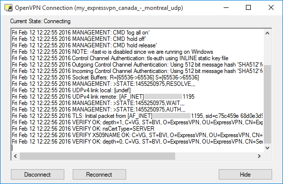 tela de conexão de configuração manual do windows openvpn